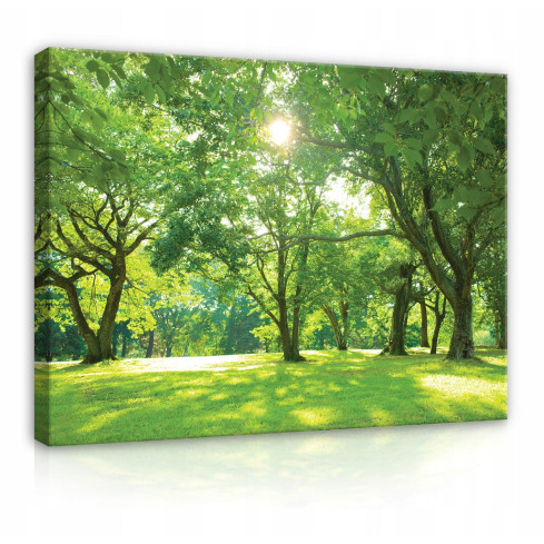 WOLE PLAINS NATURE canvasduk Stor 60x40