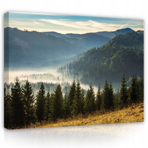 Bild Canvas Berg Landskap Natur Skog 120x80