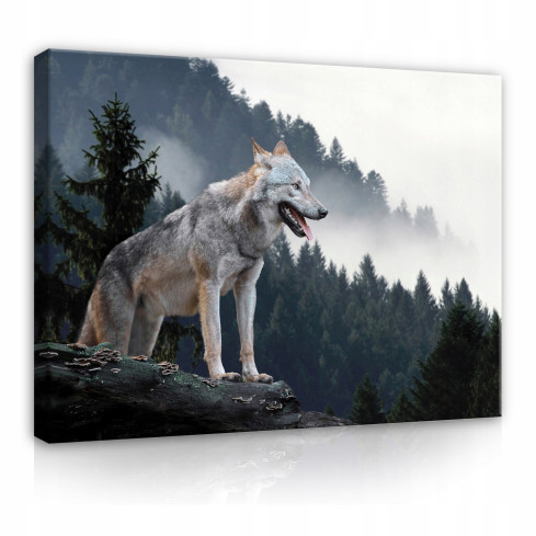 Canvastavla WOLF OF MOUNTAINS Skog i dimma Stor 60x40