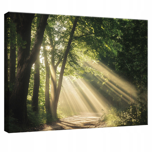 väggpanel målning skog natur träd sovrum vardagsrum kök 60x40