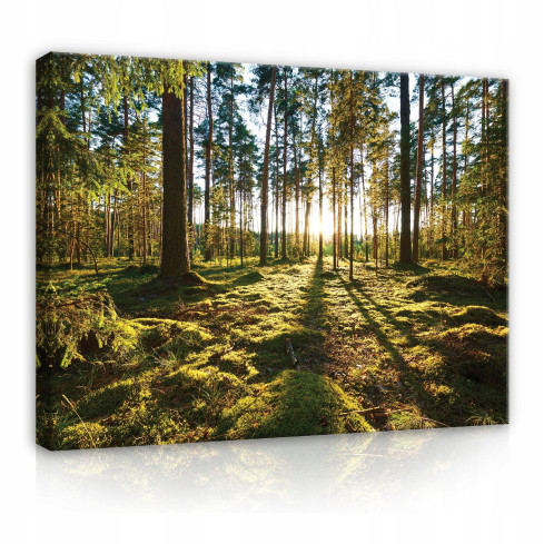 Canvasbild LASZEWA NATURA LARGE 120x80