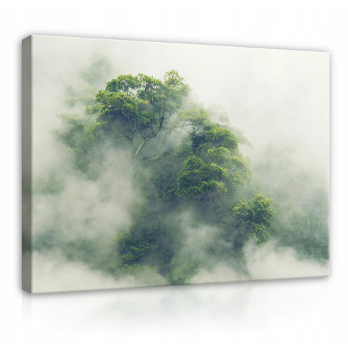 canvas skog i dimman natur djungel 100x70