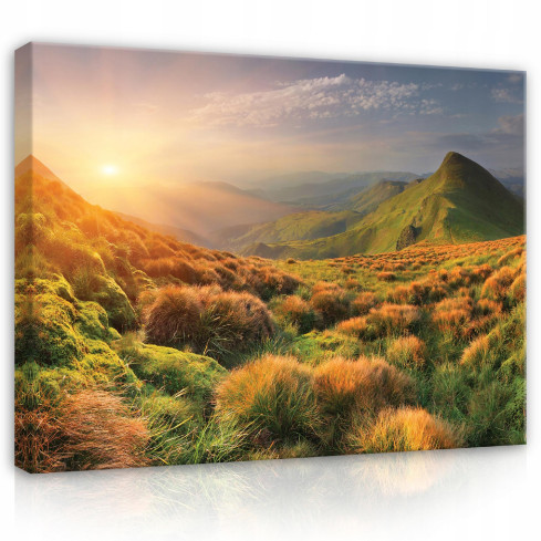 Bild LANDSKAP NATUR Väggmålning 100x70