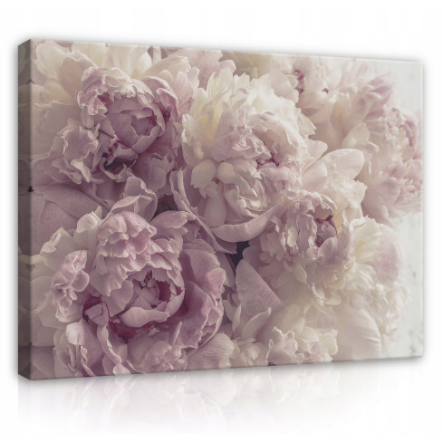 INREDNING PÅ Vägg PANEL BLOMMOR PIWONIE FÖR SÄLLSKAPSRUM MODERN 120x80 PP13818