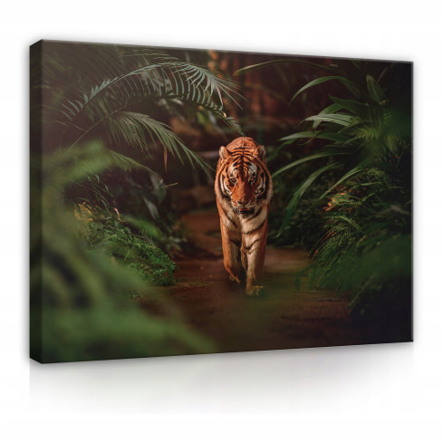 canvasmålning tiger skog djungel stor 60x40