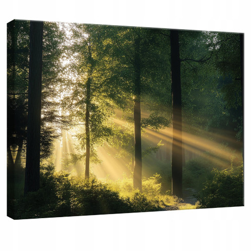 väggmålning skog natur träd sovrum vardagsrum kök 40x30 PP15429