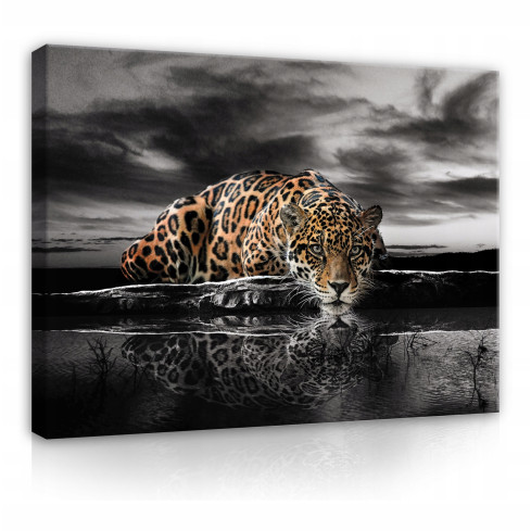 Canvasmålning JAGUAR GEPARD TIGER Stor 100x70