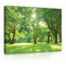 WOLE PLAINS NATURE canvasduk Stor 60x40