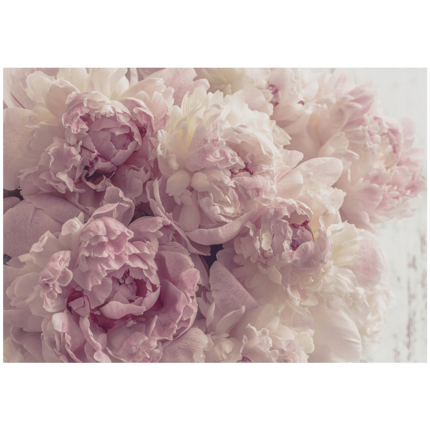 väggmålning foto tapet rosa pionblommor för vardagsrum väggmålning 150x105