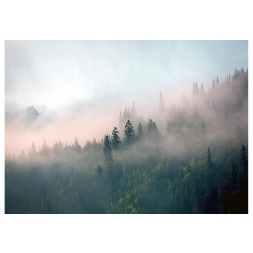 fototapet skog i dimman för sovrummet vardagsrum natur tapeter 250x175