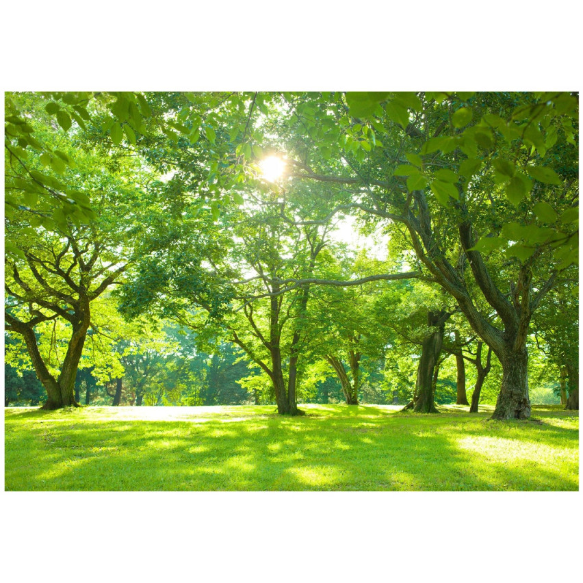 foto tapet skog solros träd natur äng vardagsrum sovrum tapet 400x280