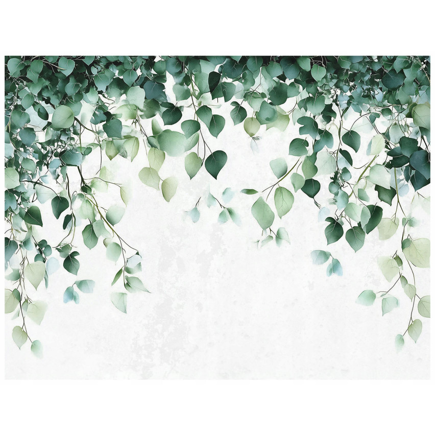 FOTO BILD AV GRÖN NATUR KUCHNIA SYPIALNIA SALON TAPE 300x210