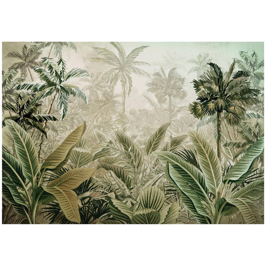 foto tapet regnskog djungel regnskog löv vardagsrum sovrum tapet 150x105